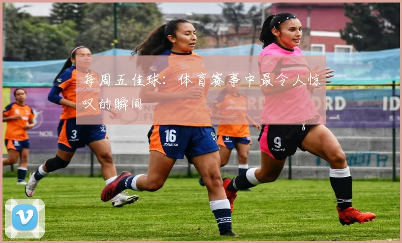 每周五佳球：体育赛事中最令人惊叹的瞬间