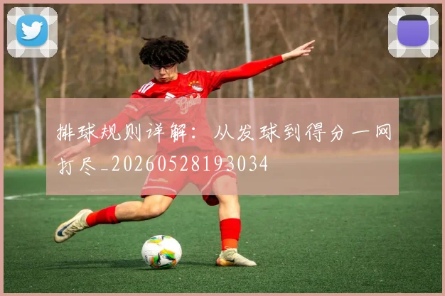 排球规则详解：从发球到得分一网打尽_20260528193034