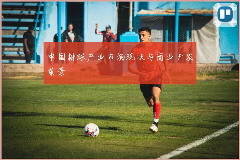 中国排球产业市场现状与商业开发前景