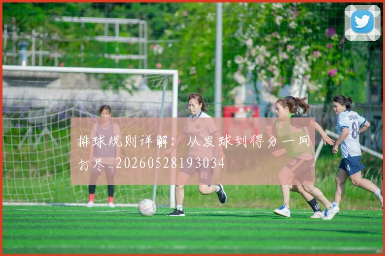 排球规则详解：从发球到得分一网打尽_20260528193034