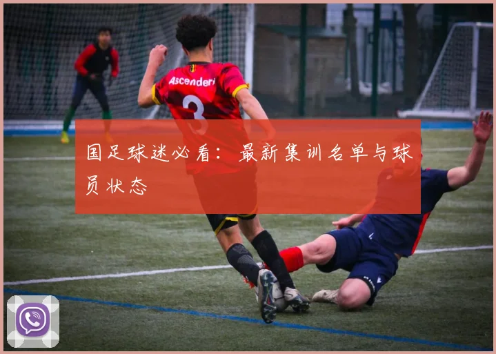 国足球迷必看：最新集训名单与球员状态