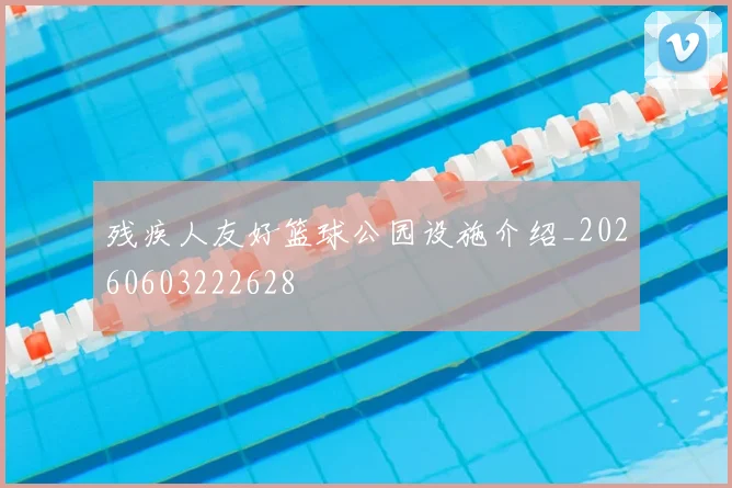 残疾人友好篮球公园设施介绍_20260603222628