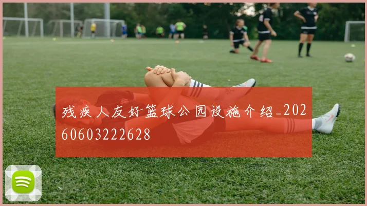 残疾人友好篮球公园设施介绍_20260603222628